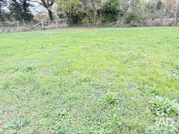 Terrain à vendre 443 m² Talmont-Saint-Hilaire