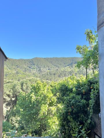 Au cœur du charmant village provençal, Les Mayons, à seulement 28 km du Golfe de Saint-Tropez, cette maison de village, édifiée sur trois niveaux, offre un agencement fonctionnel et chaleureux :

au rez-de-chaussée : une cuisine ainsi qu’un WC indépendant

au premier étage : un agréable salon/séjour

au deuxième étage : deux chambres, une salle d’eau et un second WC indépendant.

Vous apprécierez son environnement paisible, sa vue dégagée ainsi que la proximité immédiate des commodités et des stationnements.

Cette maison constitue une opportunité idéale pour un premier achat, un pied-à-terre en Provence ou un investissement locatif avec bon potentiel de rendement.

Contactez-moi pour avoir plus d'informations ou organiser une visite