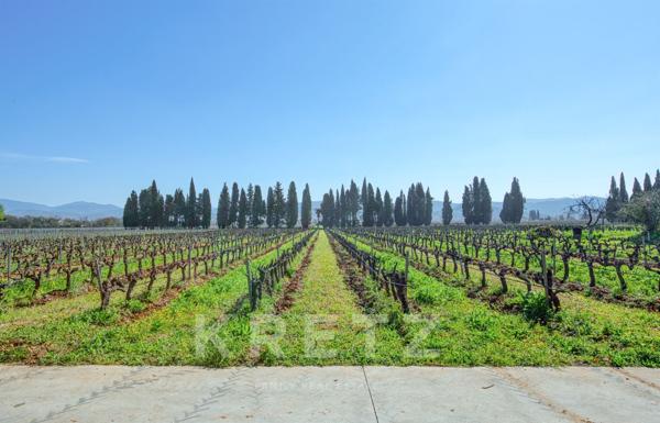 Domaine viticole en Provence