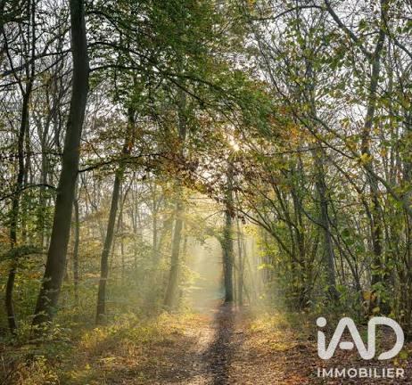 Terrain à vendre 6 200 m² Cauvigny