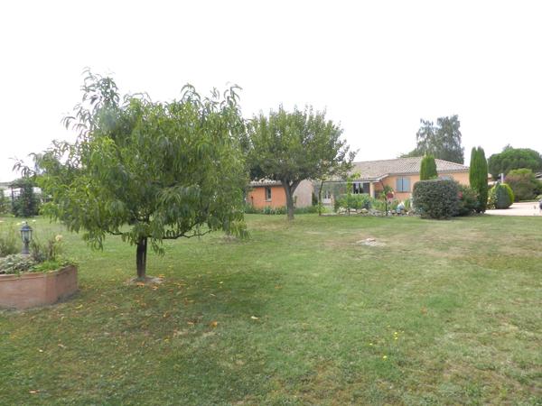 Maison plain-pied,  Piscine, terrain clôturé arboré, portail électrique