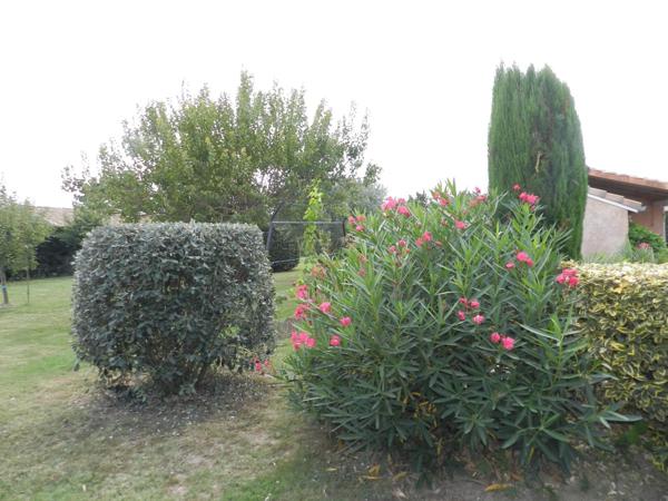 Maison plain-pied,  Piscine, terrain clôturé arboré, portail électrique