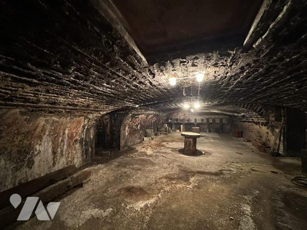 Maison avec cuverie, terrain et dépendances