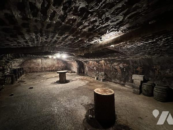 Maison avec cuverie, terrain et dépendances