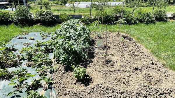 Maison 3ch + bureau, 140 m² coeur de nature