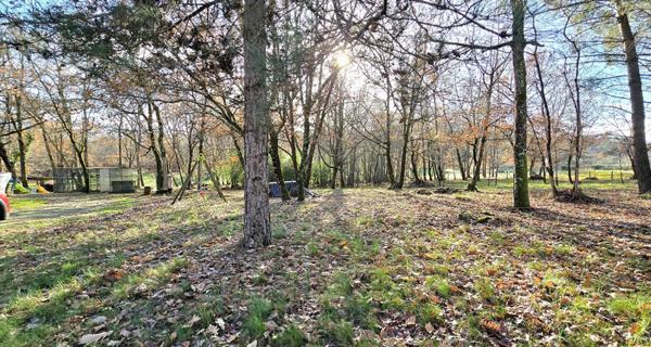 Maison avec sous sol parcelle boise et constructible