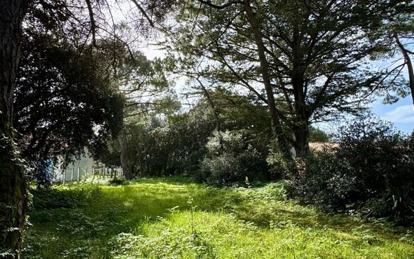 Terrain à vendre    Saint-Georges-d'Oléron