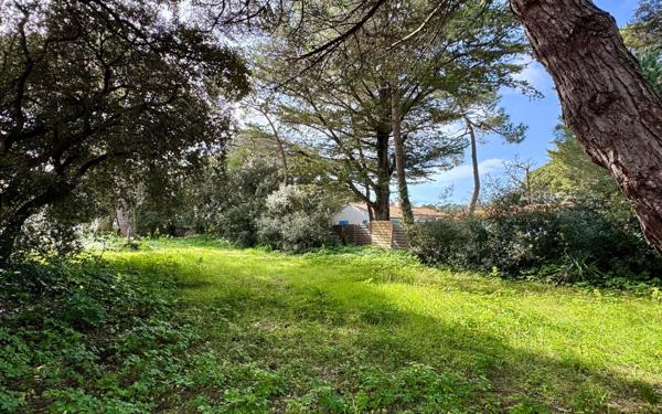 Terrain à vendre    Saint-Georges-d'Oléron