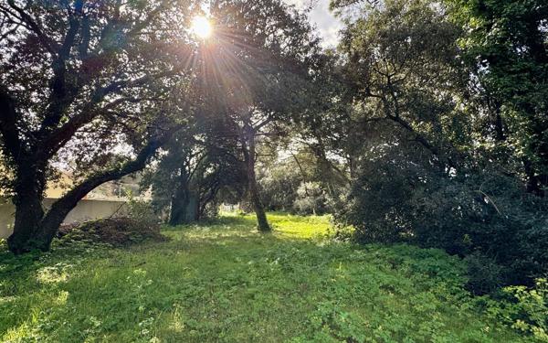 Terrain à vendre    Saint-Georges-d'Oléron