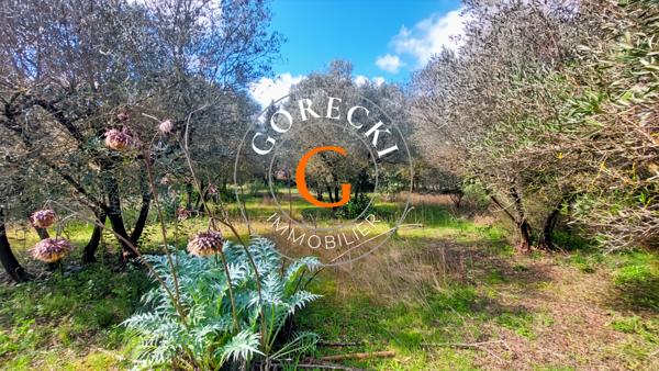 Saint-Siffret (30700) A vendre, magnifique terrain situé sur Saint-Siffret