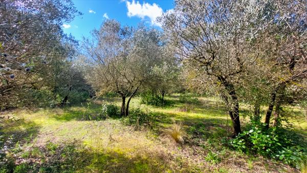 Saint-Siffret (30700) A vendre, magnifique terrain situé sur Saint-Siffret