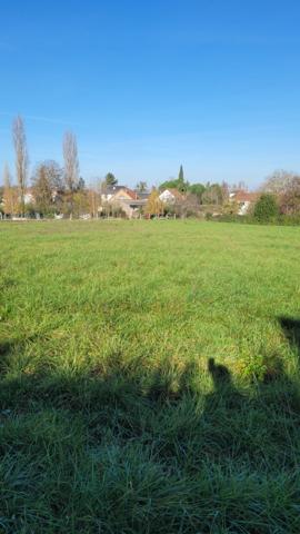 DANGE SAINT ROMAIN (86220) - Terrain à vendre de 25 445,00 m²