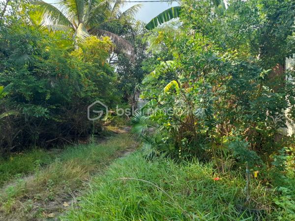 Découvrez cette authentique maison créole à rénover, située sur un terrain généreux de 678 m². 

Idéalement située dans le secteur recherché de Saint-Pierre à proximité immédiate de la mer, à seulement 5 minutes du CHU, vous pourrez profiter du doux son des vagues tout en bénéficiant d’un cadre paisible et intime. Toutes les commodités sont à portée de main, faisant de cet endroit un véritable havre de paix en harmonie avec la nature.
Entièrement clôturée, agrémenté d’un jardin luxuriant avec plusieurs arbres fruitiers cette propriété dispose également d’un garage.

Cette propriété offre plusieurs possibilités : vous pouvez choisir de rénover la maison pour mettre en valeur son patrimoine ou opter pour un projet de construction neuve selon vos envies
Le Plan Local d’Urbanisme (PLU) permet la construction d’un ou plusieurs étages, offrant ainsi la possibilité de profiter d’une vue mer imprenable. De plus, la construction de locaux commerciaux, très recherchés dans ce secteur, représente une opportunité d’investissement intéressante, que ce soit pour une résidence principale ou un projet locatif.

Ne manquez pas cette occasion rare ! Saisissez cette chance unique d’acquérir un bien d’exception dans un cadre enchanteur. Contactez-nous rapidement pour organiser une visite, ce bien ne restera pas longtemps sur le marché !