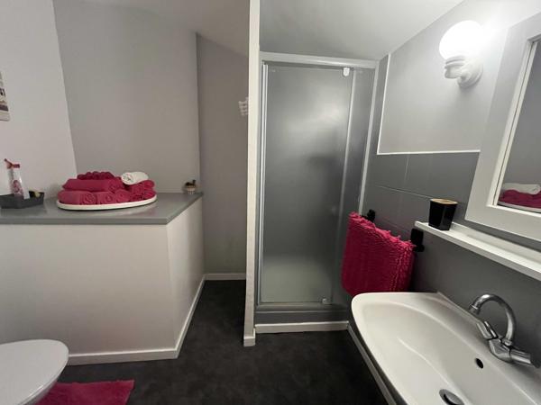 ENSEMBLE IMMOBILIER AVEC GITES, CHAMBRES D'HOTES, MAISON D'HABITATION, PISCINE ET GRANGE