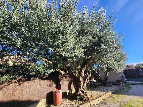 PERNES LES FONTAINES - VAUCLUSE - MAISON A VENDRE AU CALME DE 132 M² SUR TERRAIN DE 900 M² AVEC PISCINE