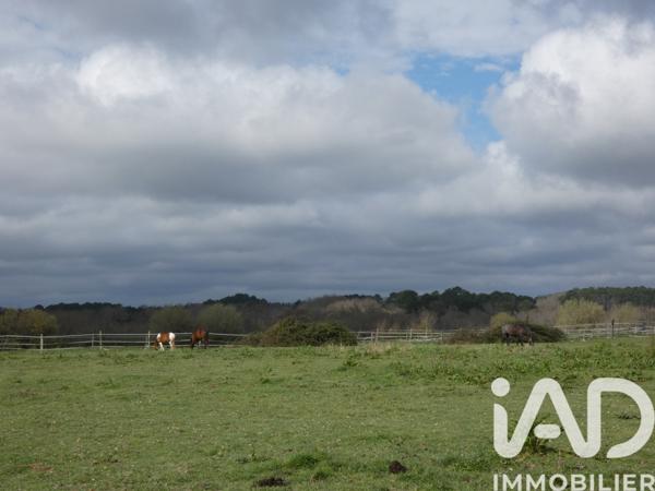 Maison à vendre 12 pièces 314 m² Cazats