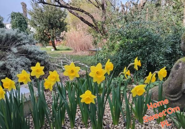 Vente Maison de ville 5 pièces 95 m2 à Marmande