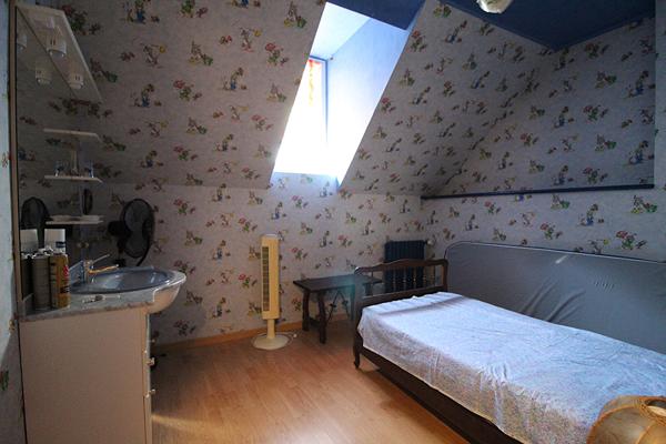 CHAUMONT SUR LOIRE - 20 KM DE BLOIS - 20 KM D'AMBOISE