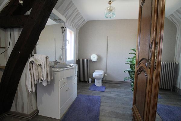 CHAUMONT SUR LOIRE - 20 KM DE BLOIS - 20 KM D'AMBOISE