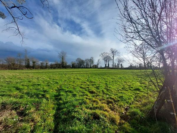 Maison à vendre à Martigné-Ferchaud en Ille-et-Vilaine (35640), ref : 122/3073
