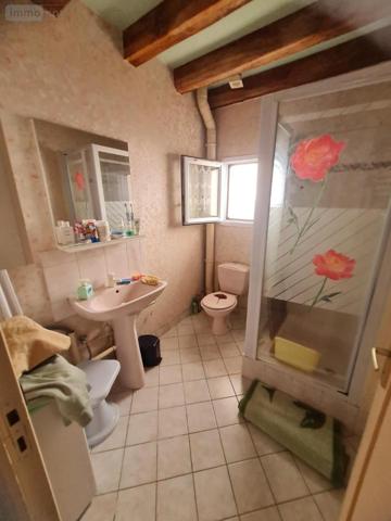 Maison à vendre à Saint-Rimay dans le Loir-et-Cher (41800), ref : 41059-918