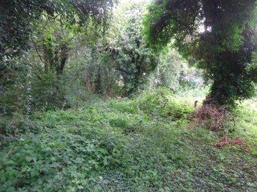 Divers à vendre à Marolles-les-Buis dans l'Eure-et-Loir (28400), ref : MLB 957