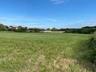 Terrain de loisirs - Bois - Etang à vendre à Vendoeuvres dans l'Indre (36500), ref : 1044132