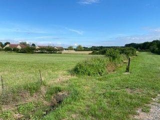 Terrain de loisirs - Bois - Etang à vendre à Vendoeuvres dans l'Indre (36500), ref : 1044132
