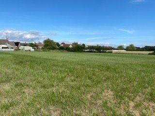 Terrain de loisirs - Bois - Etang à vendre à Vendoeuvres dans l'Indre (36500), ref : 1044132