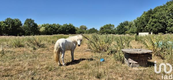Maison à vendre 5 pièces 120 m² Donges