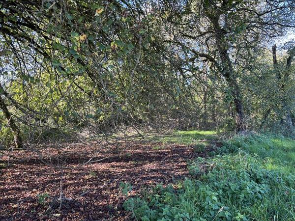 Maison à vendre |  Saint-Barbant |  2 pièces | 116 m²