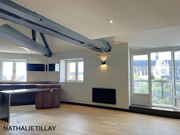 Orleans, appartement Loft duplex de 130 m² à vendre, ascenseur, garage,Vue cathédrale exceptionnelle,