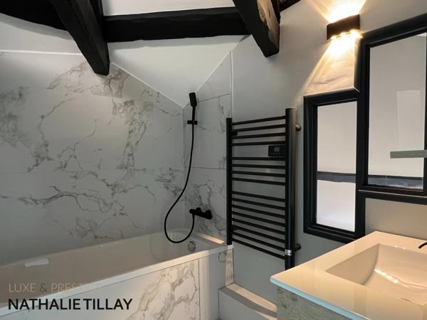 Orleans, appartement Loft duplex de 130 m² à vendre, ascenseur, garage,Vue cathédrale exceptionnelle,