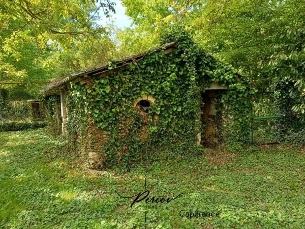 Charmante maison, environnement verdoyant avec 5925 m² de terrain arboré
