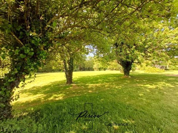 Charmante maison, environnement verdoyant avec 5925 m² de terrain arboré