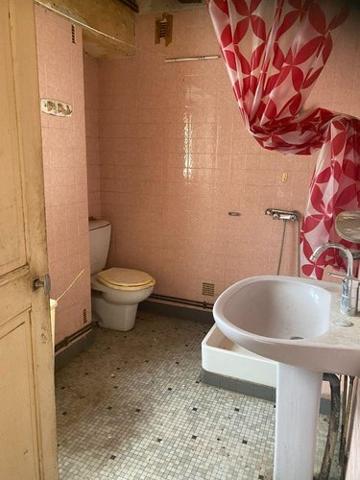 Maison à vendre à Fléré-la-Rivière dans l'Indre (36700), ref : 1050985