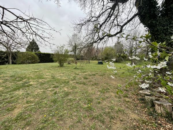 Castelmaurou (31180) Villa de 195m2, T5 + bureau, sous-sol complet, jardin de 5000m2