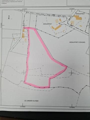 Terrain de loisirs - Bois - Etang à vendre à Radenac dans le Morbihan (56500), ref : 56053-2443