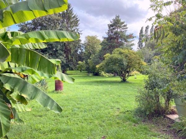 Propriete à vendre 6 pièces Proche de THORIGNY SUR OREUSE (89)