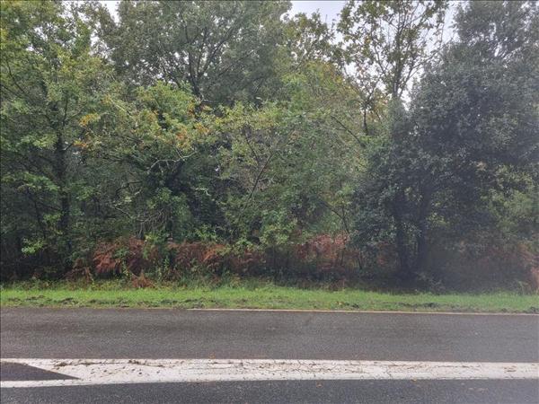 Parking à vendre |  La Tremblade |  Pavillon | 688 m²