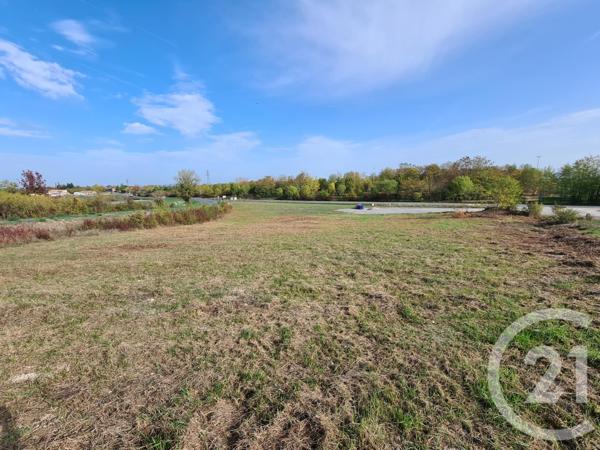 Terrain à vendre  1330 m2 ALBI - 81