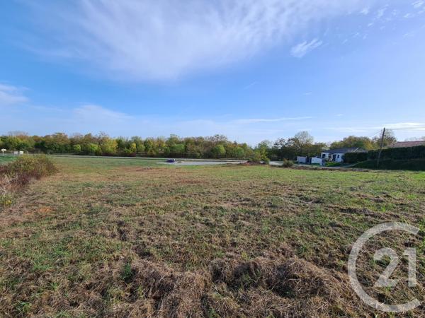 Terrain à vendre  1330 m2 ALBI - 81