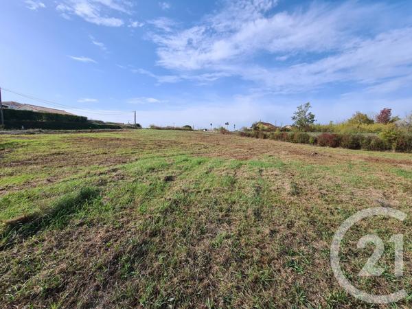 Terrain à vendre  1330 m2 ALBI - 81