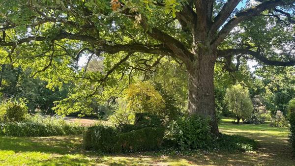 Manoir Redon - ILLE-ET-VILAINE