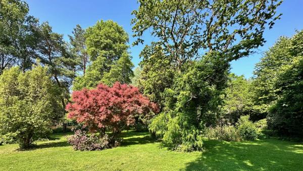 Manoir Redon - ILLE-ET-VILAINE