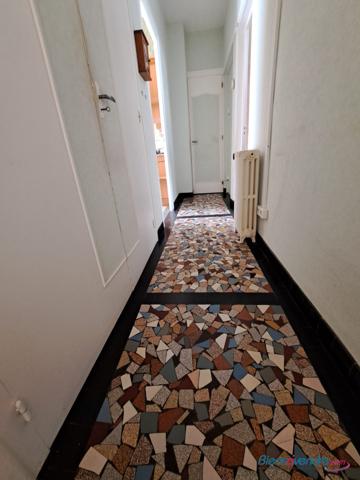 pavillons années 1950