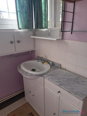 pavillons années 1950