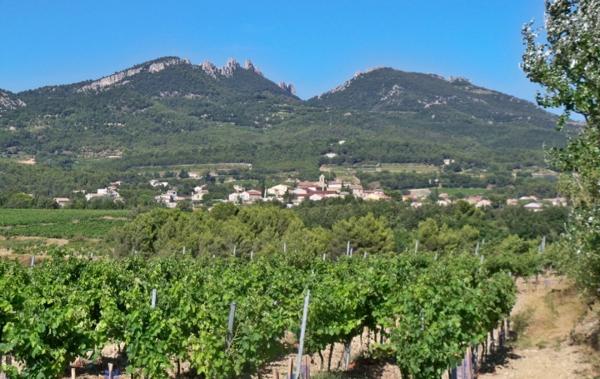 Vente Terrain Constructible Vacqueyras