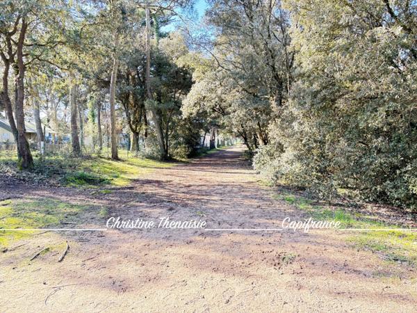 Maison à vendre 4 pièces Plain-Pied, 3 chambres, Garage SION SUR L'OCEAN (85)