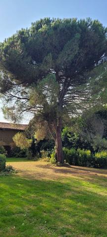 Saint-Front (16460) VIAGER OCCUPÉ,BOUQUET 101 462 € ,RENTE 630 € ,POUR UNE DAME DE 83 ANS ,MAISON DE CAMPAGNE AVEC GRANGE DE 144 M